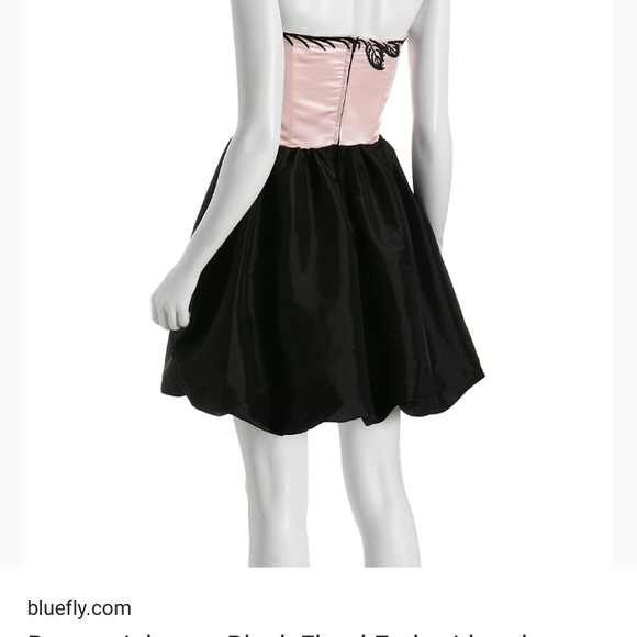 NWT Betsey Johnson Floral Embroidered Dress 0 - Picture 2 of 6